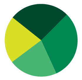 Pie Graph Icon