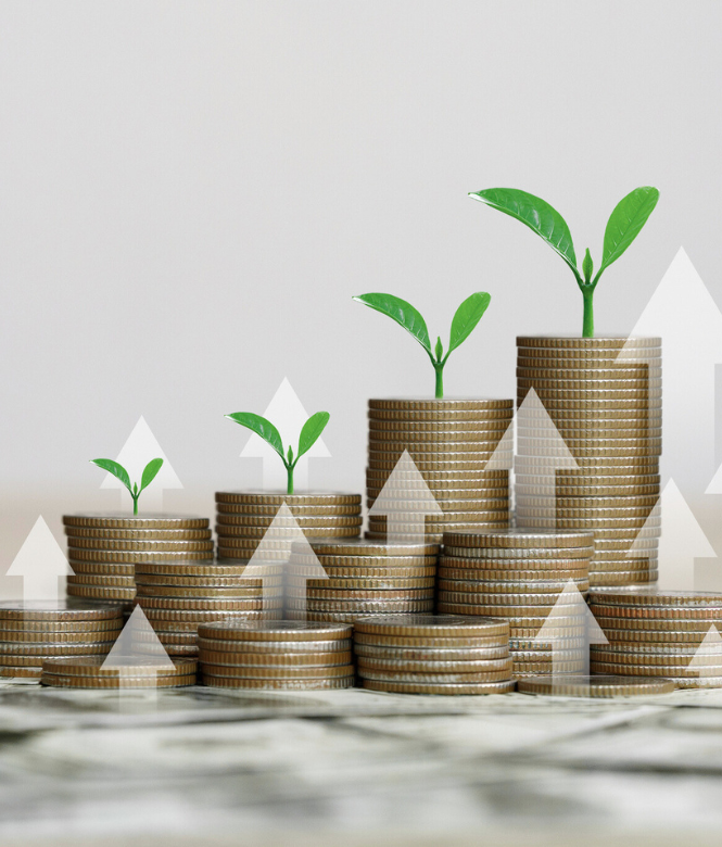Stacks of coins with green sprouts symbolizing financial growth.